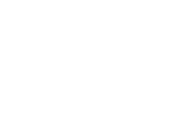 Enzo-logo-s